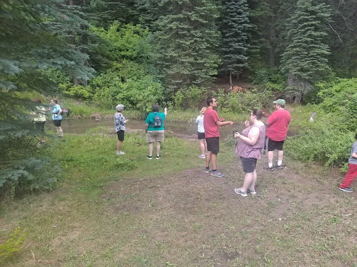 Spruce Group Picnic Site (recgovnpsdata) 4