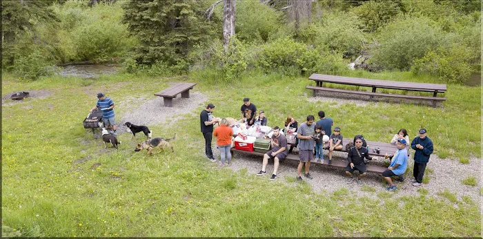 Spruce Group Picnic Site (recgovnpsdata) 5