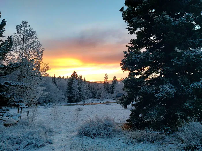 Marvine Campground 8