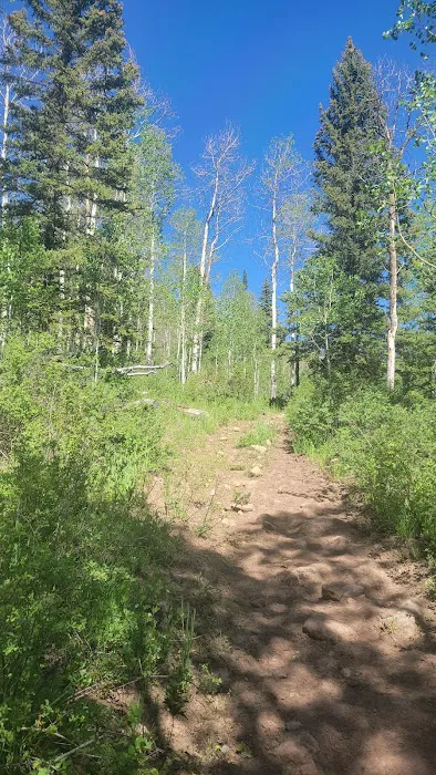 Marvine Campground 2