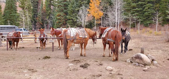 Marvine Campground 7