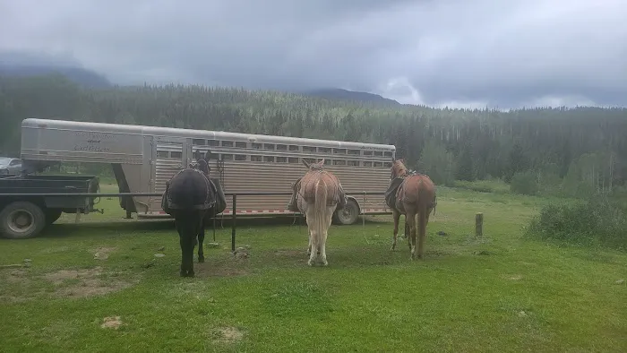 Marvine Campground 3
