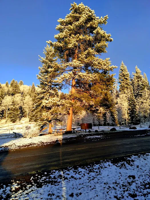 Marvine Campground 6