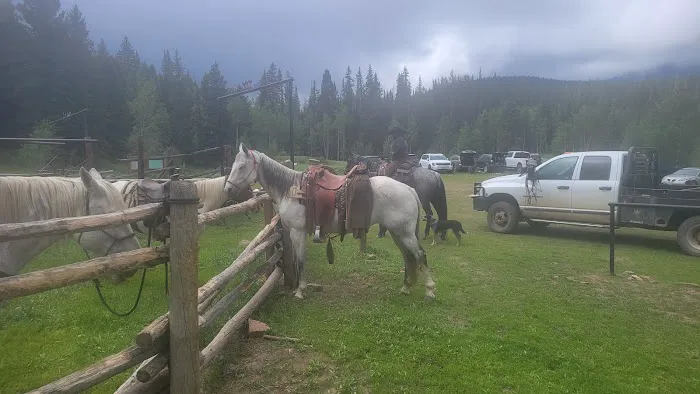 Marvine Campground 5