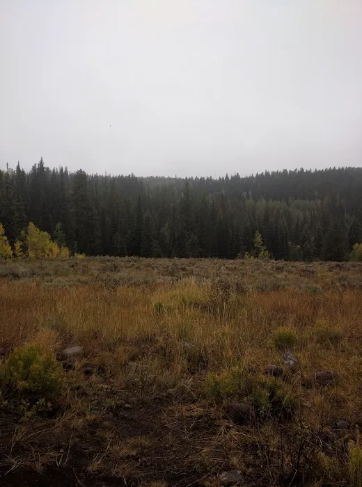 East Marvine Campground 6