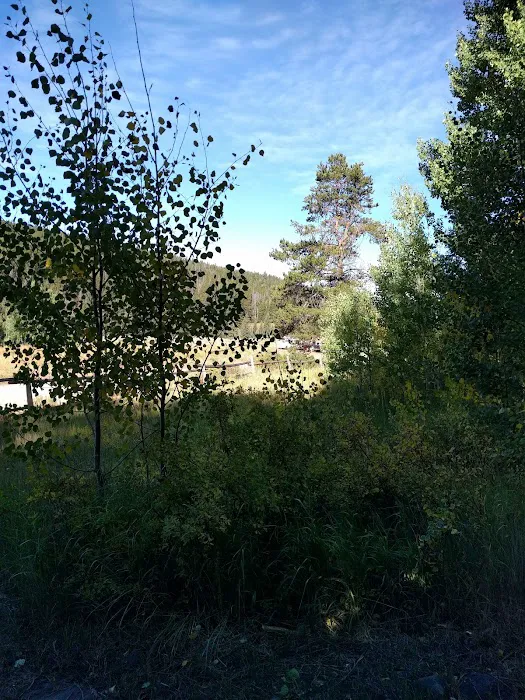 East Marvine Campground 4