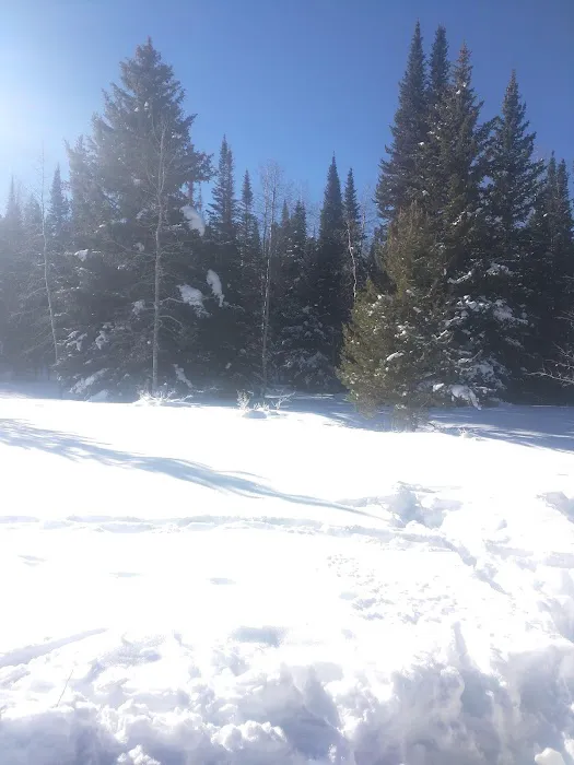 East Marvine Campground 3