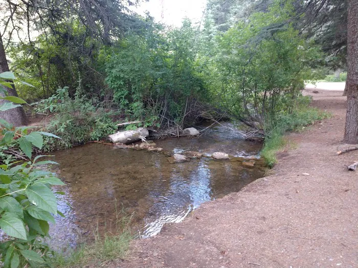 Blue Spruce Campground 6