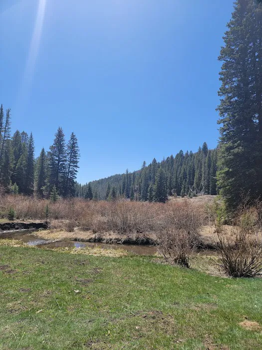 Blue Spruce Campground 3