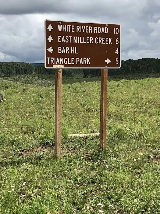 Middle Miller Creek Campground 1