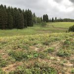 Middle Miller Creek Campground