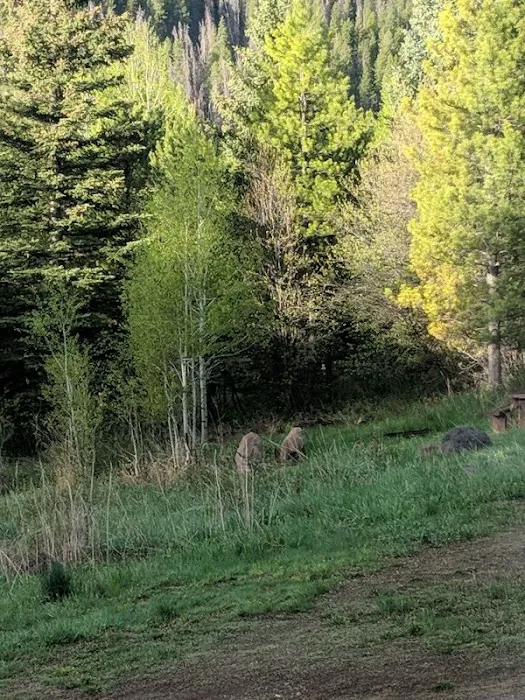 North Fork Campground 4