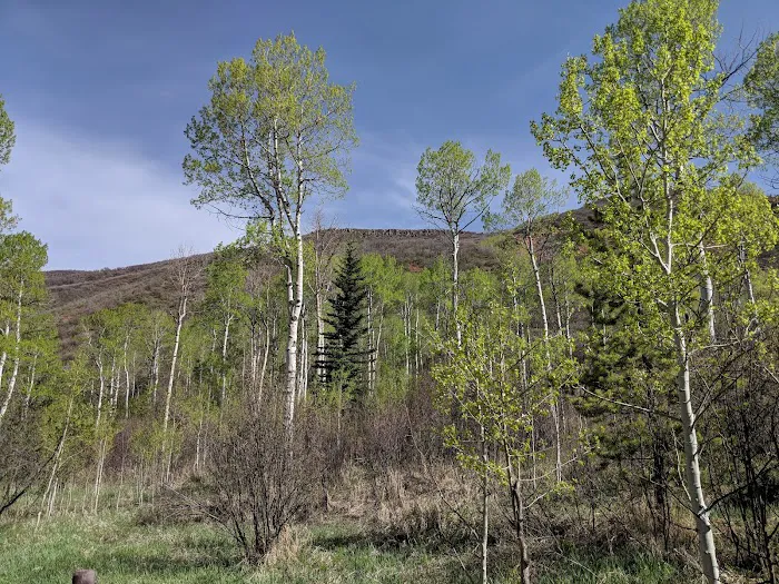 North Fork Campground 6