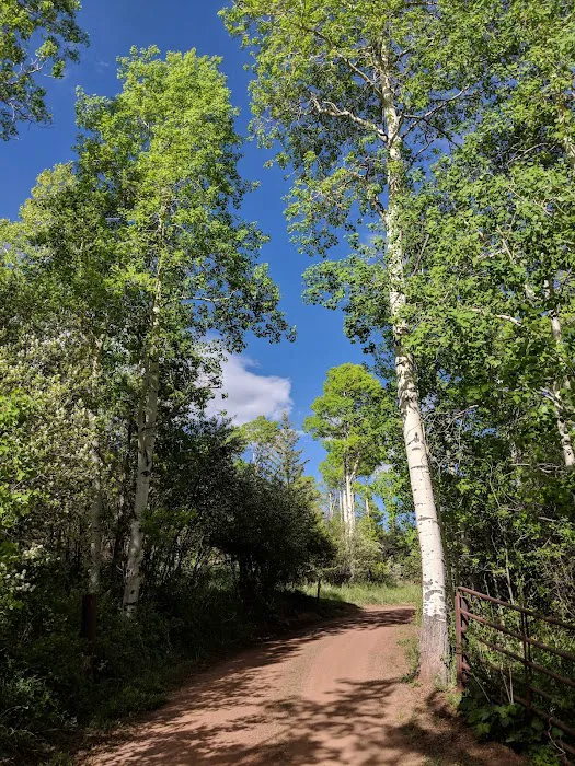 North Fork Campground 7
