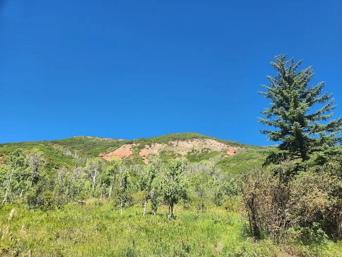 Cutthroat Campground 7