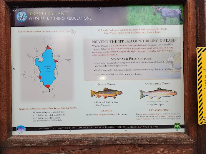 Cutthroat Campground 6