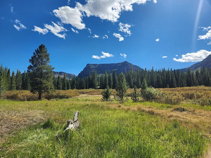 Cutthroat Campground 8