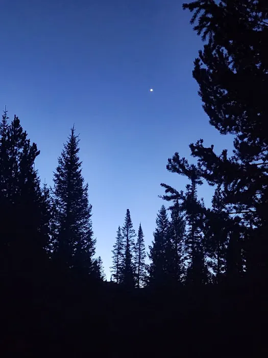 Cutthroat Campground 2