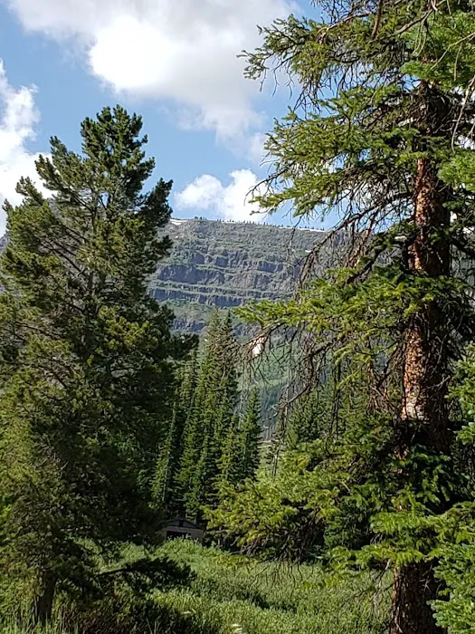 Shepherds Rim Campground 7
