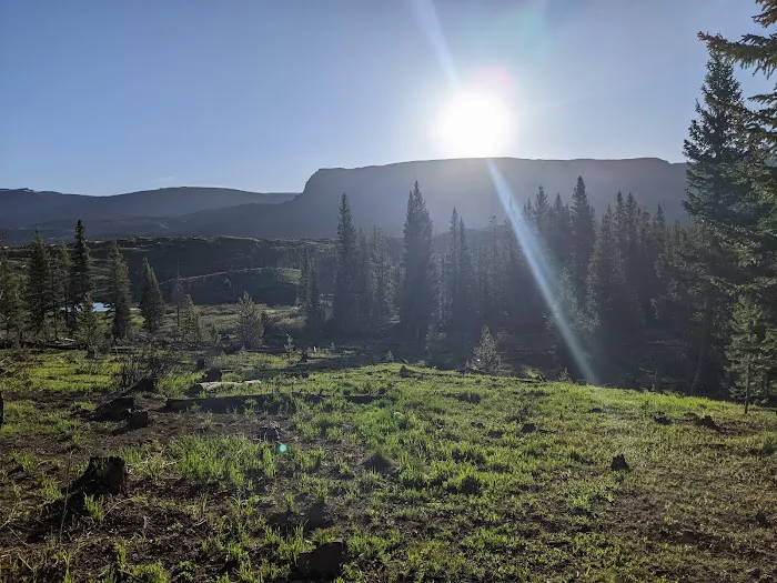 Shepherds Rim Campground 8