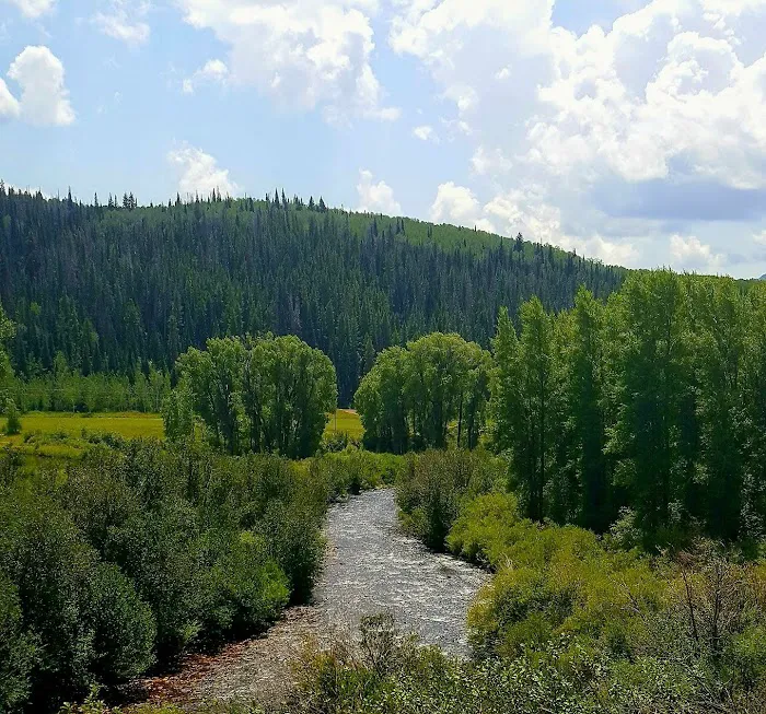 Himes Peak Campground 7