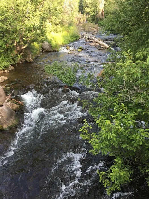 Himes Peak Campground 5