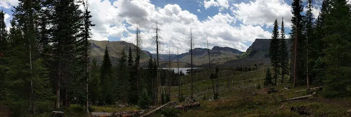 Trapline Campground 3