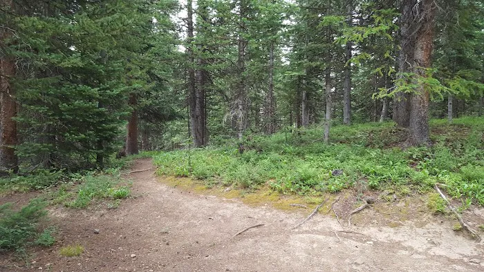 Trapline Campground 5
