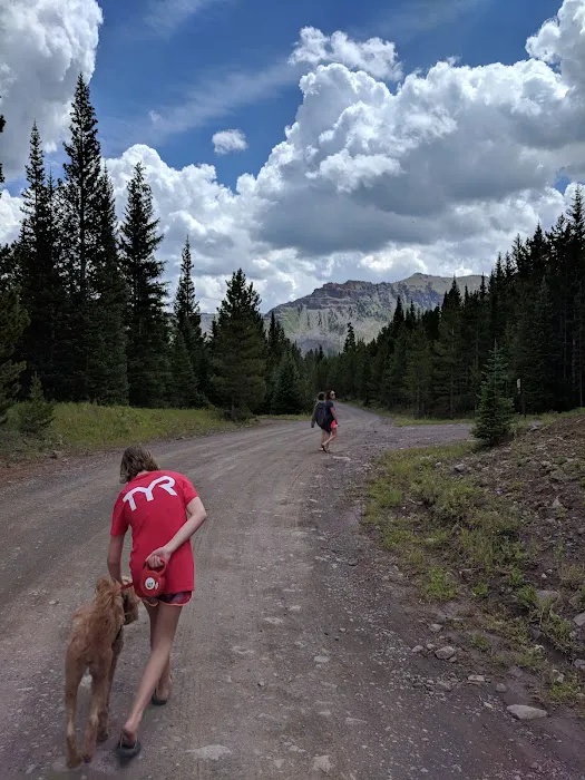 Trapline Campground 8
