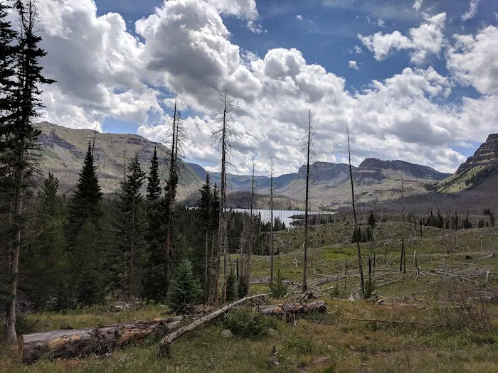 Trapline Campground 9