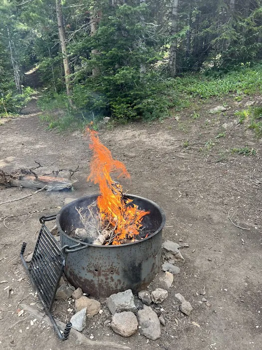 Bucks Campground 4