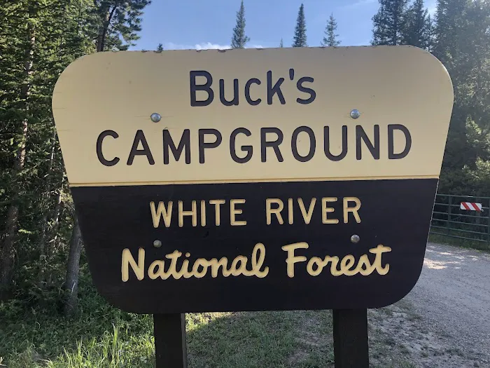 Bucks Campground 6