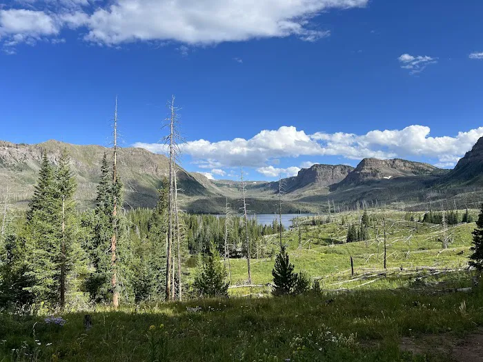 Bucks Campground 8