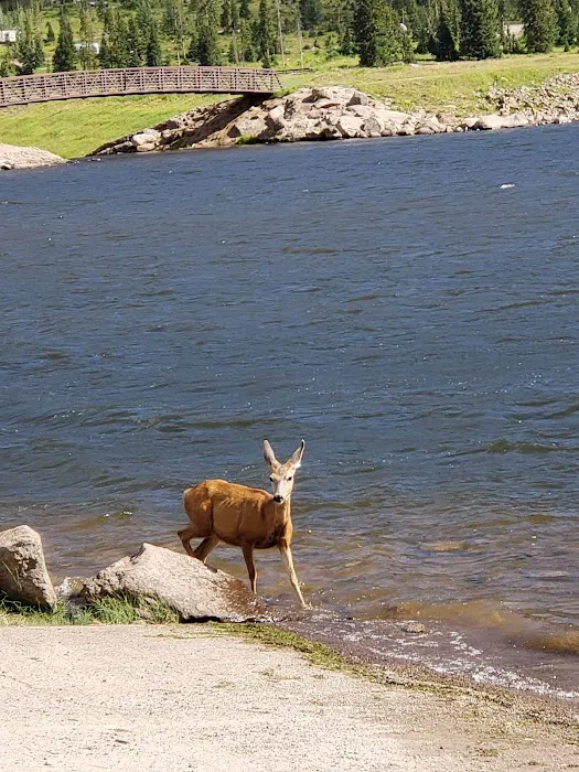 Big Meadows Reservoir Boating Site 7