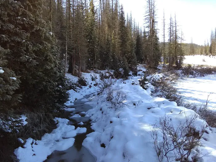 Wolf Creek Interpretive Site (recgovnpsdata) 8