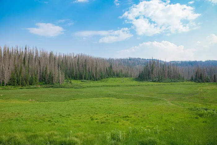 Wolf Creek Interpretive Site (recgovnpsdata) 7
