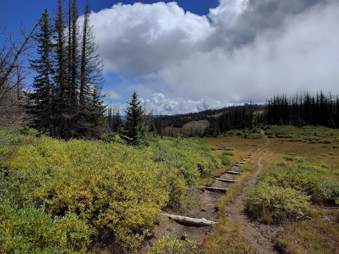 Lobo Overlook 9