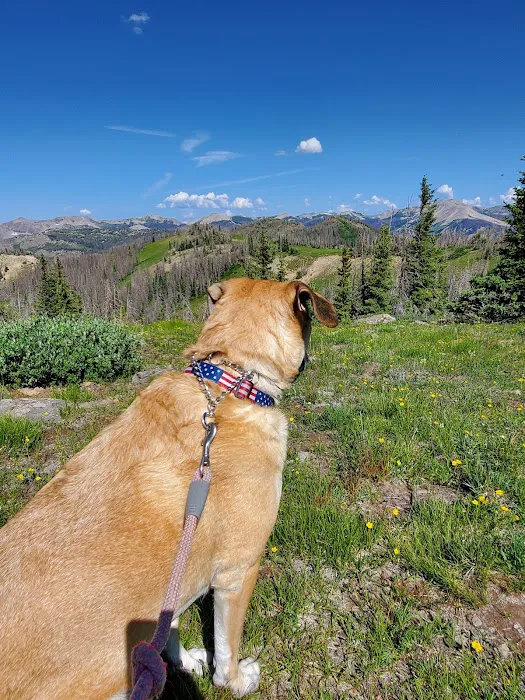 Lobo Overlook 8