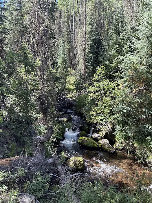 Ivy Creek Campground and Trailhead 4