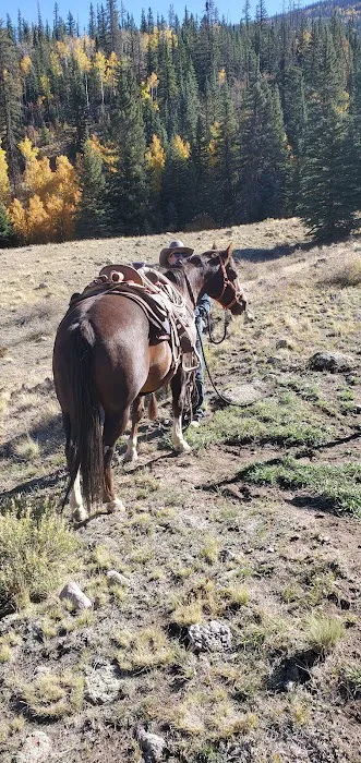 Ivy Creek Campground and Trailhead 1