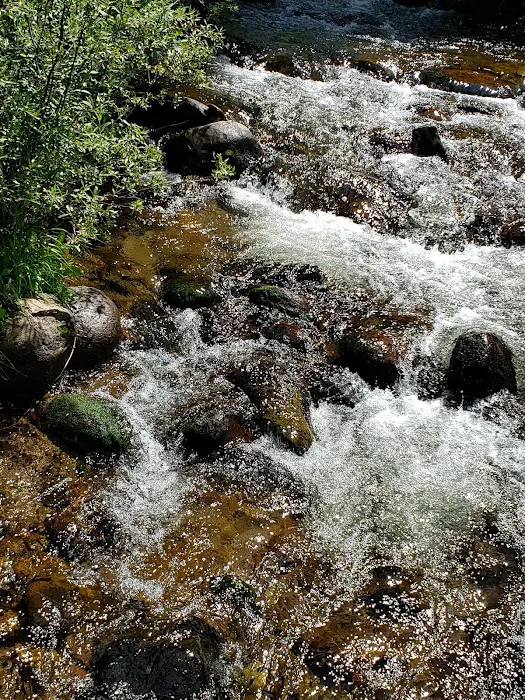 Ivy Creek Campground and Trailhead 3