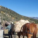 Ivy Creek Campground and Trailhead