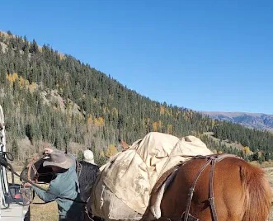 Ivy Creek Campground and Trailhead