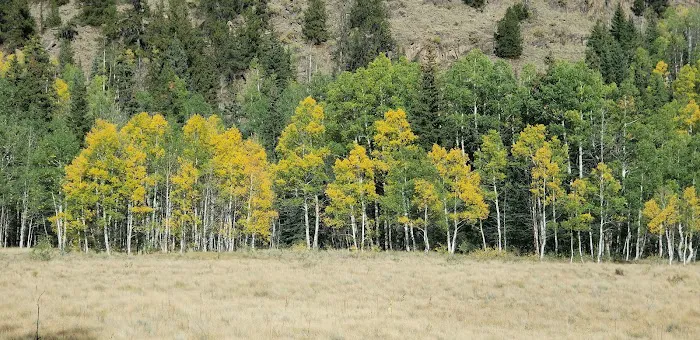 North Clear Creek Campground 4