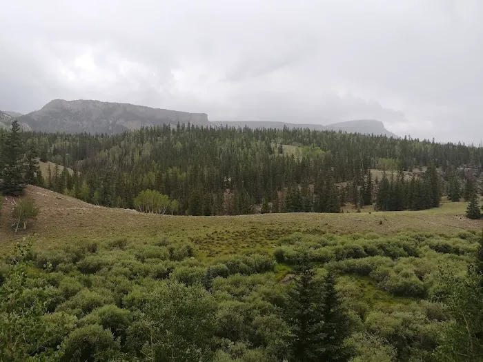 Silver Thread Campground 2