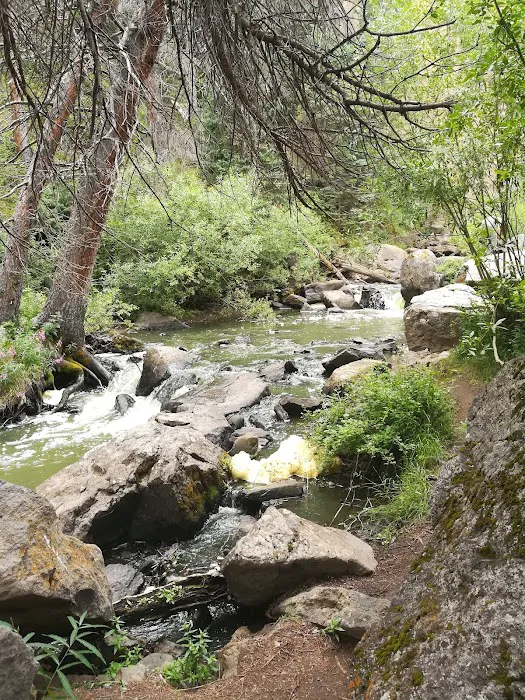 Silver Thread Campground 5