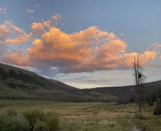 Eddiesville South Trailhead (recgovnpsdata)
