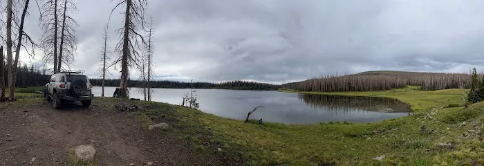 Kerr Lake Fishing Site 1
