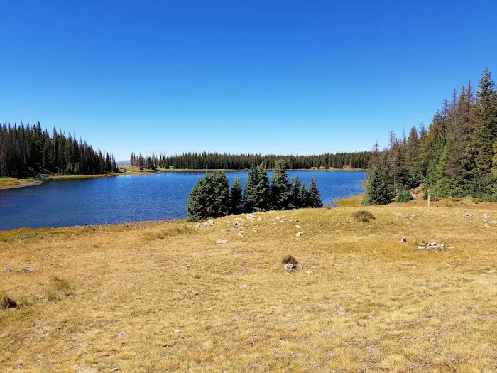 Kerr Lake Fishing Site 4