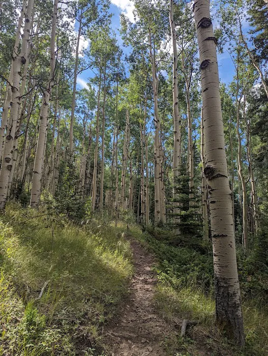 Valdez Trailhead, Trail 717 9
